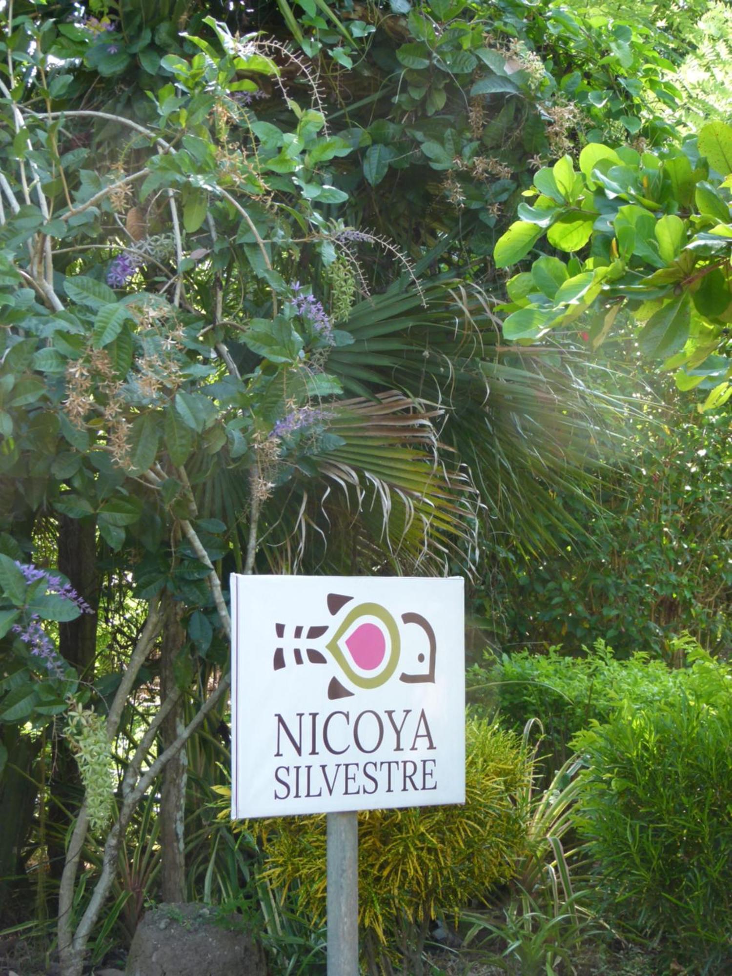 דירות Lepanto Nicoya Silvestre מראה חיצוני תמונה